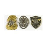 Знак нагрудный Знак нагрудный